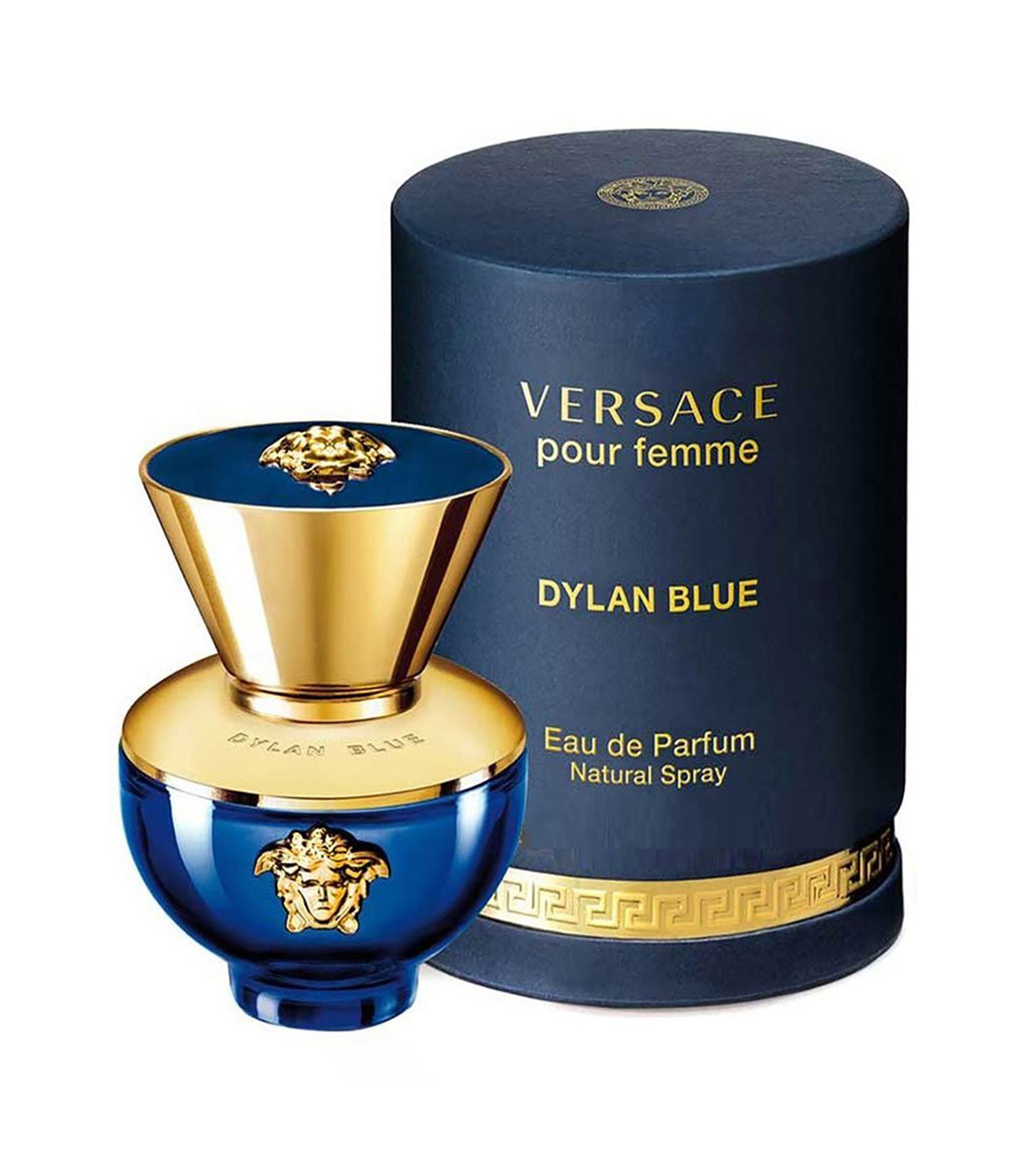 Versace Dylan Blue Pour Femme Eau de Parfum 100 ML