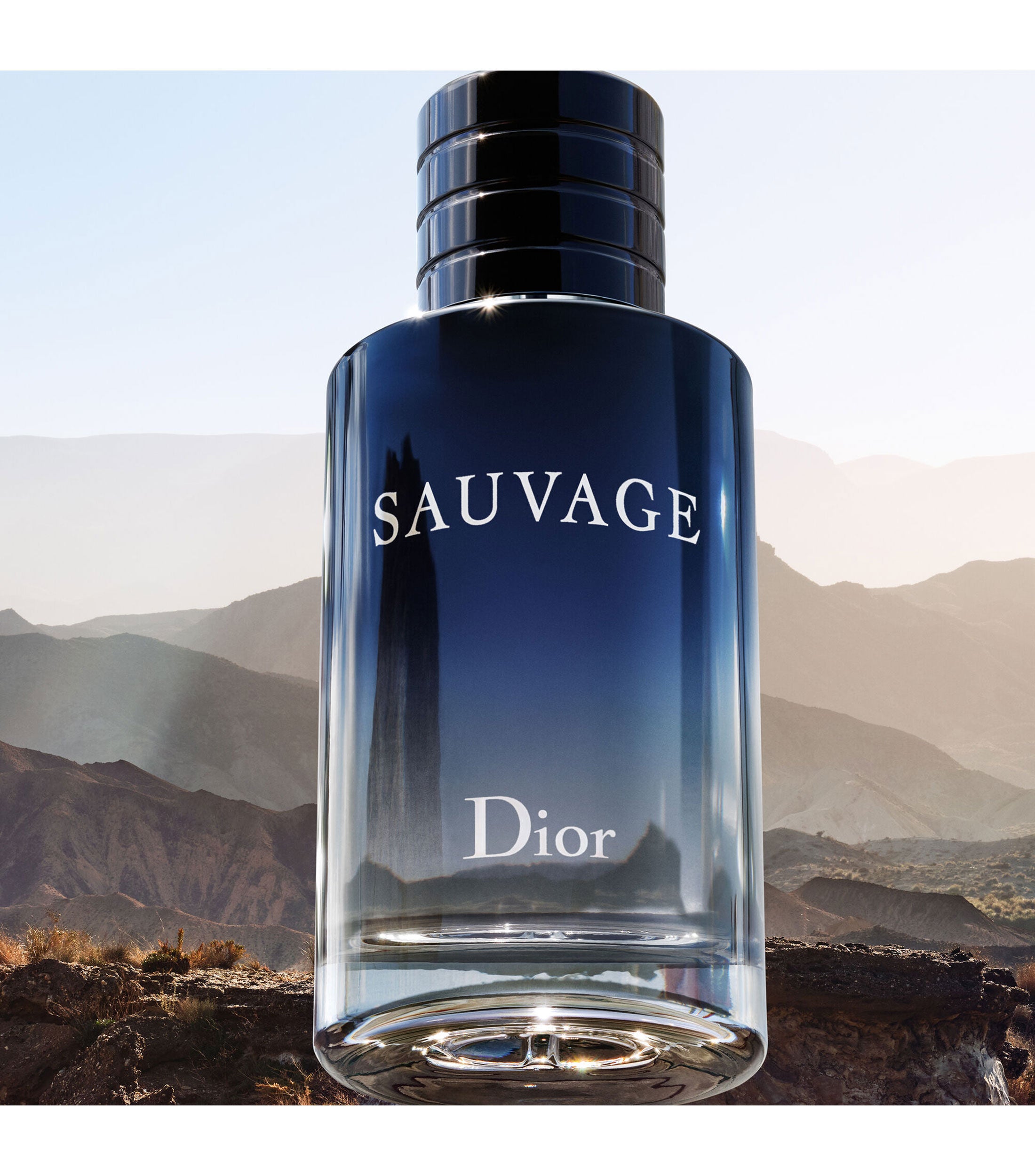 Dior Sauvage Eau de Toilette 100 ML