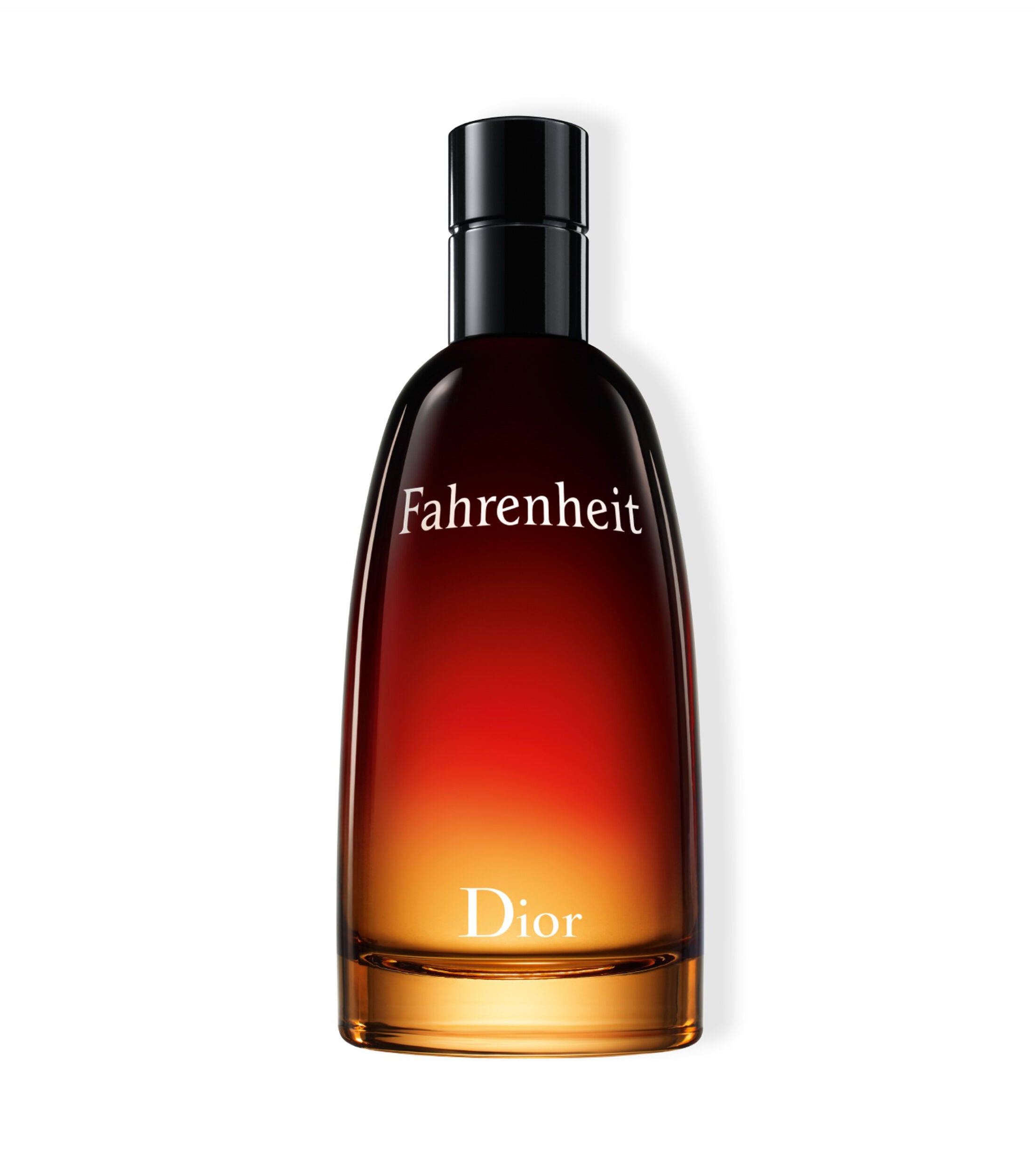 Dior Fahrenheit Eau de Toilette 100 ML