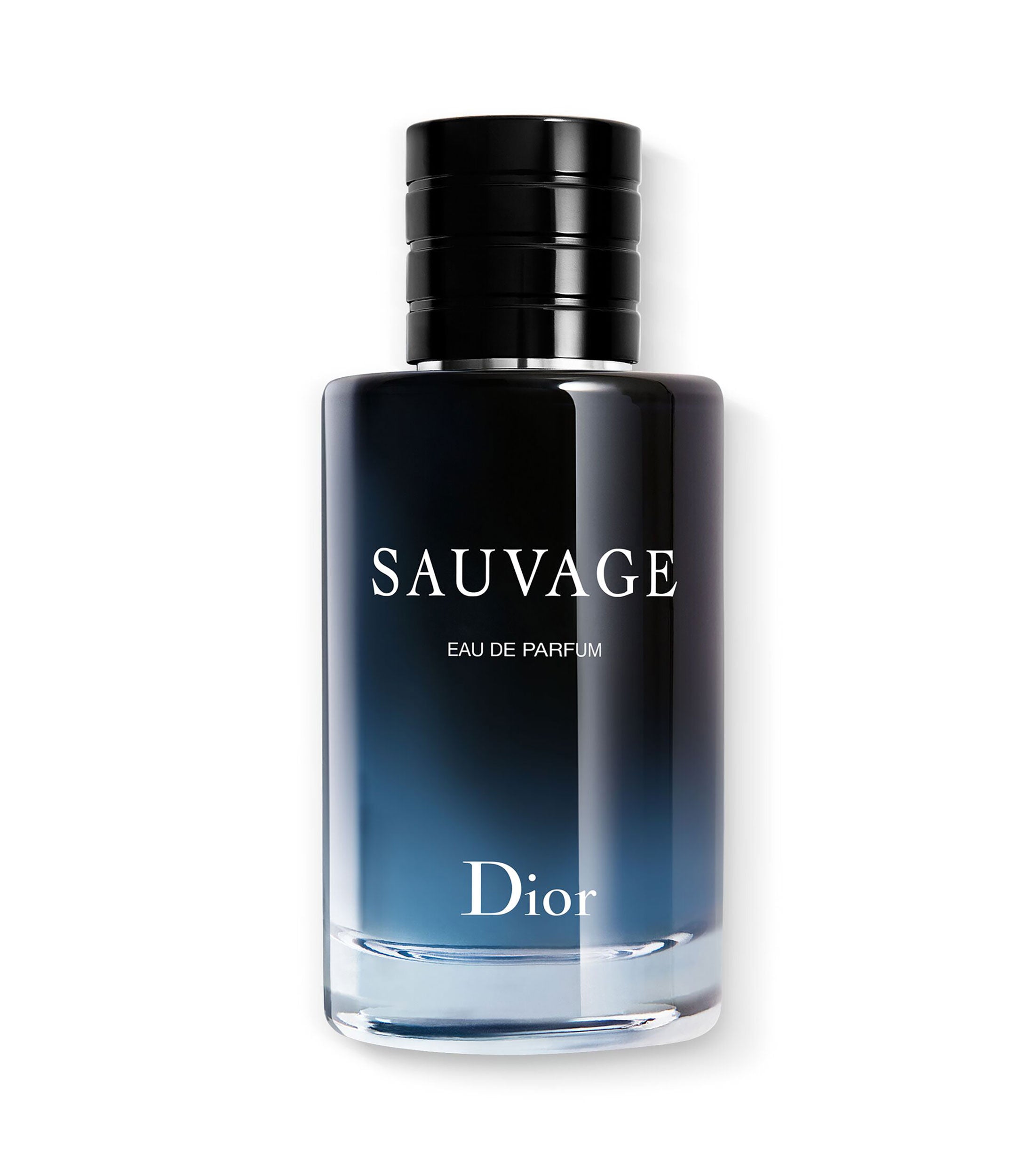 Dior Sauvage Eau de Parfum 100 ML