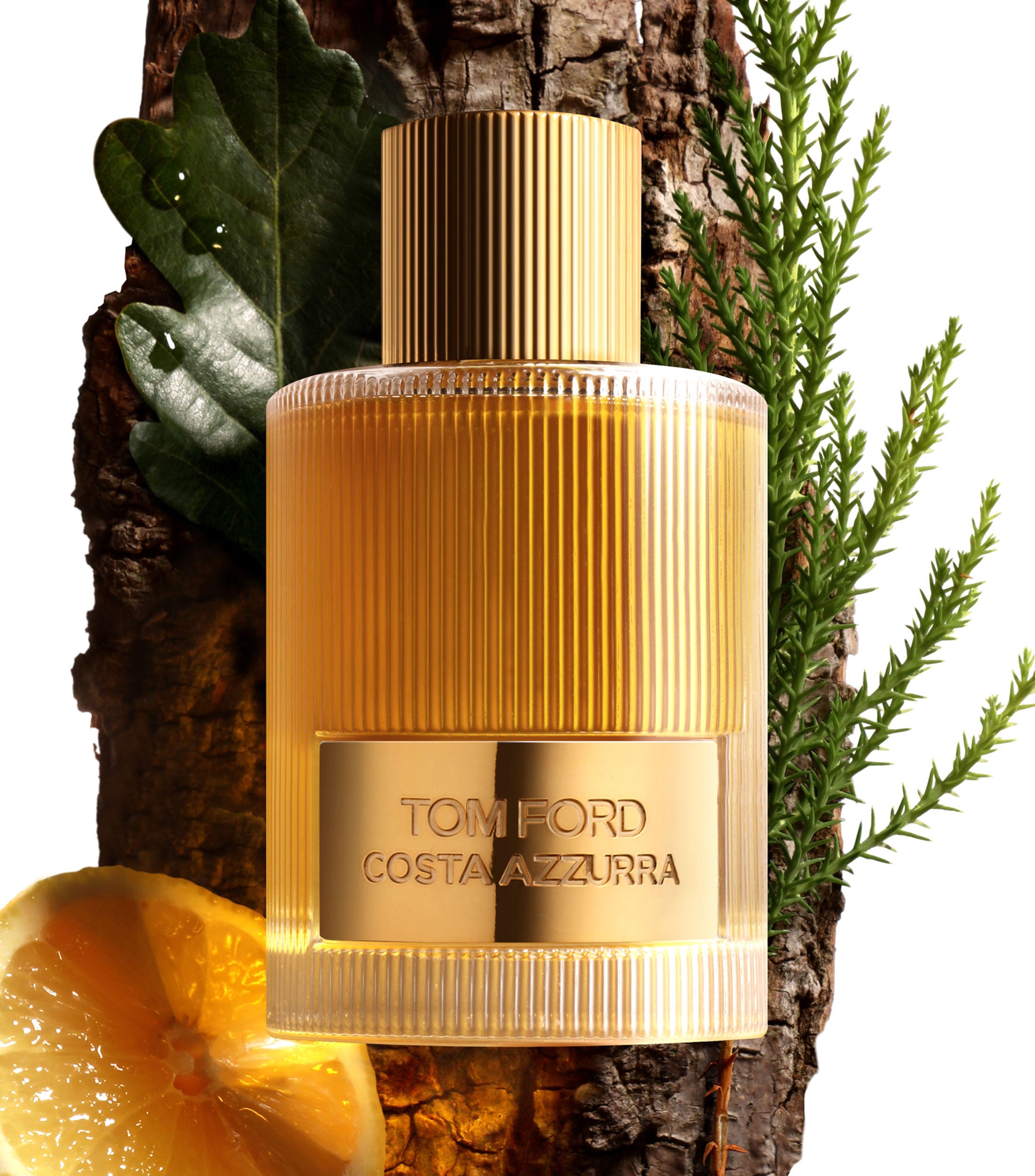 Tom Ford Costa Azzurra Eau de Parfum 100 ML